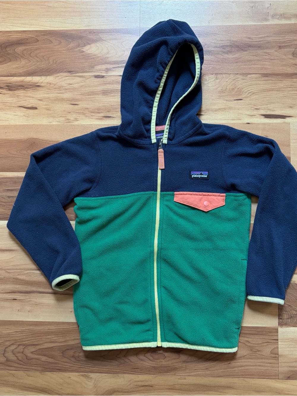 Patagonia Micro D Snap-T Fleece